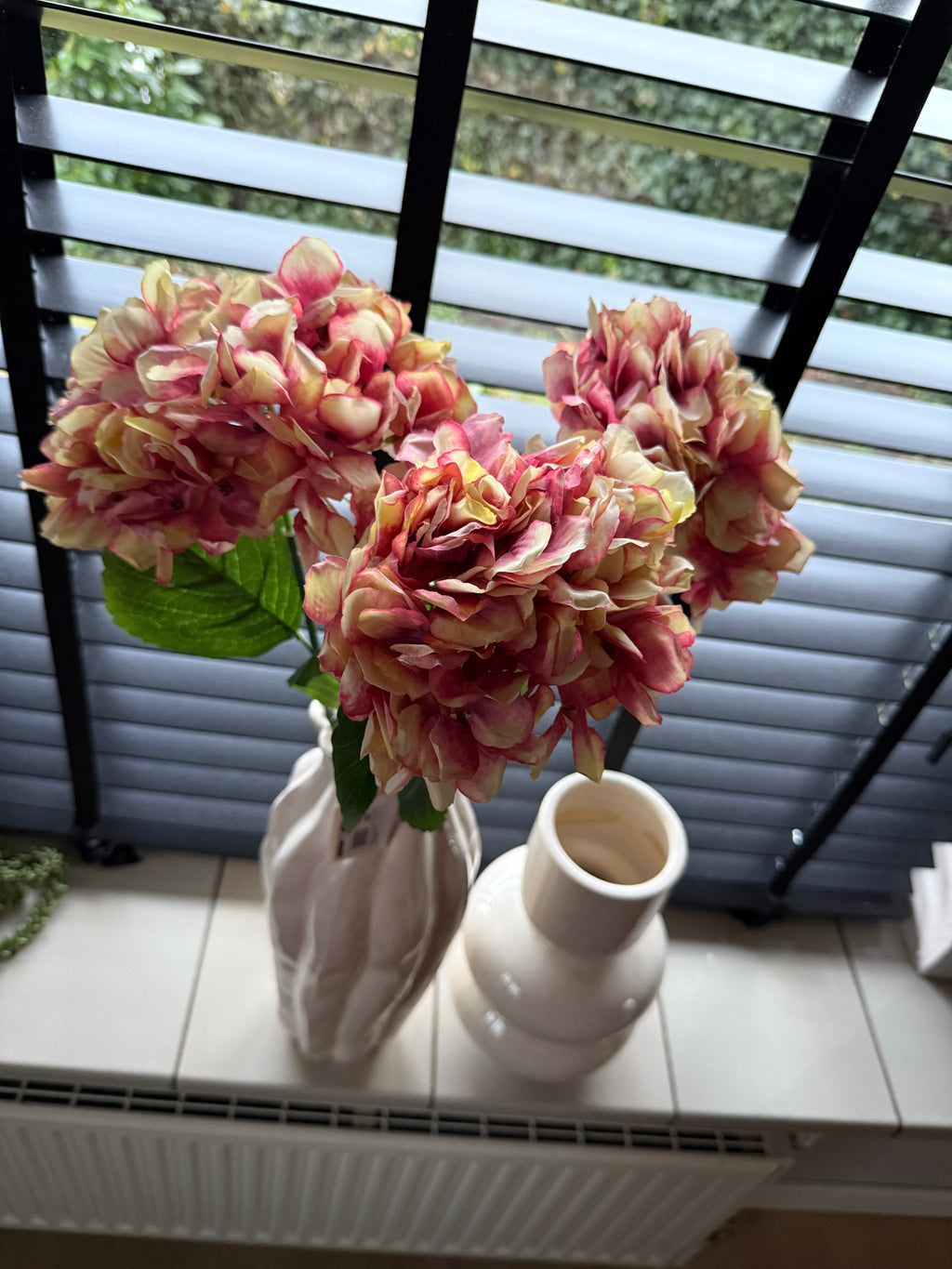 Hortensia