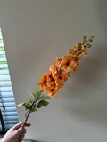 Larkspur