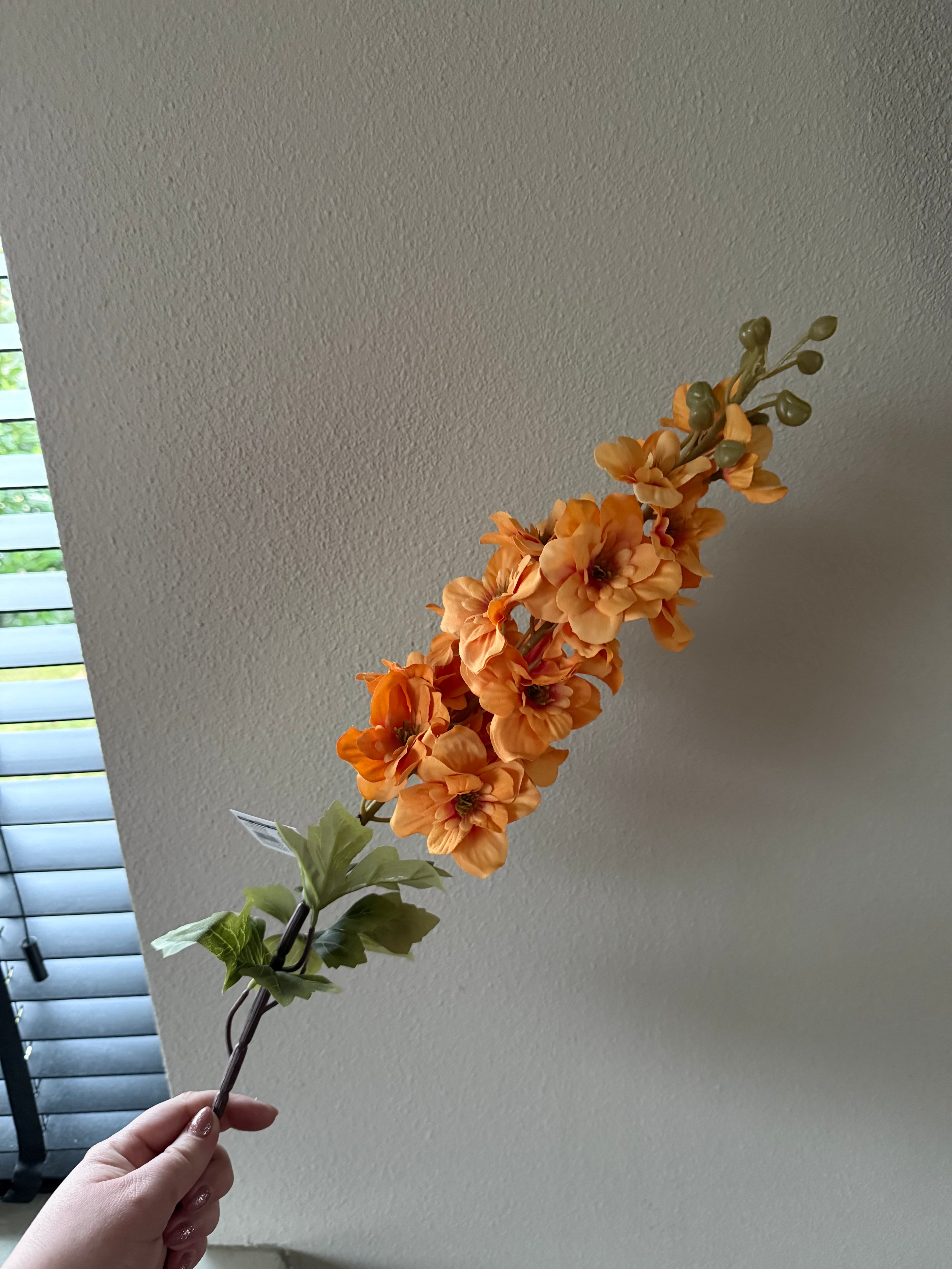 Larkspur