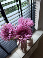Chrysant