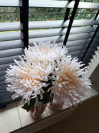 Chrysant