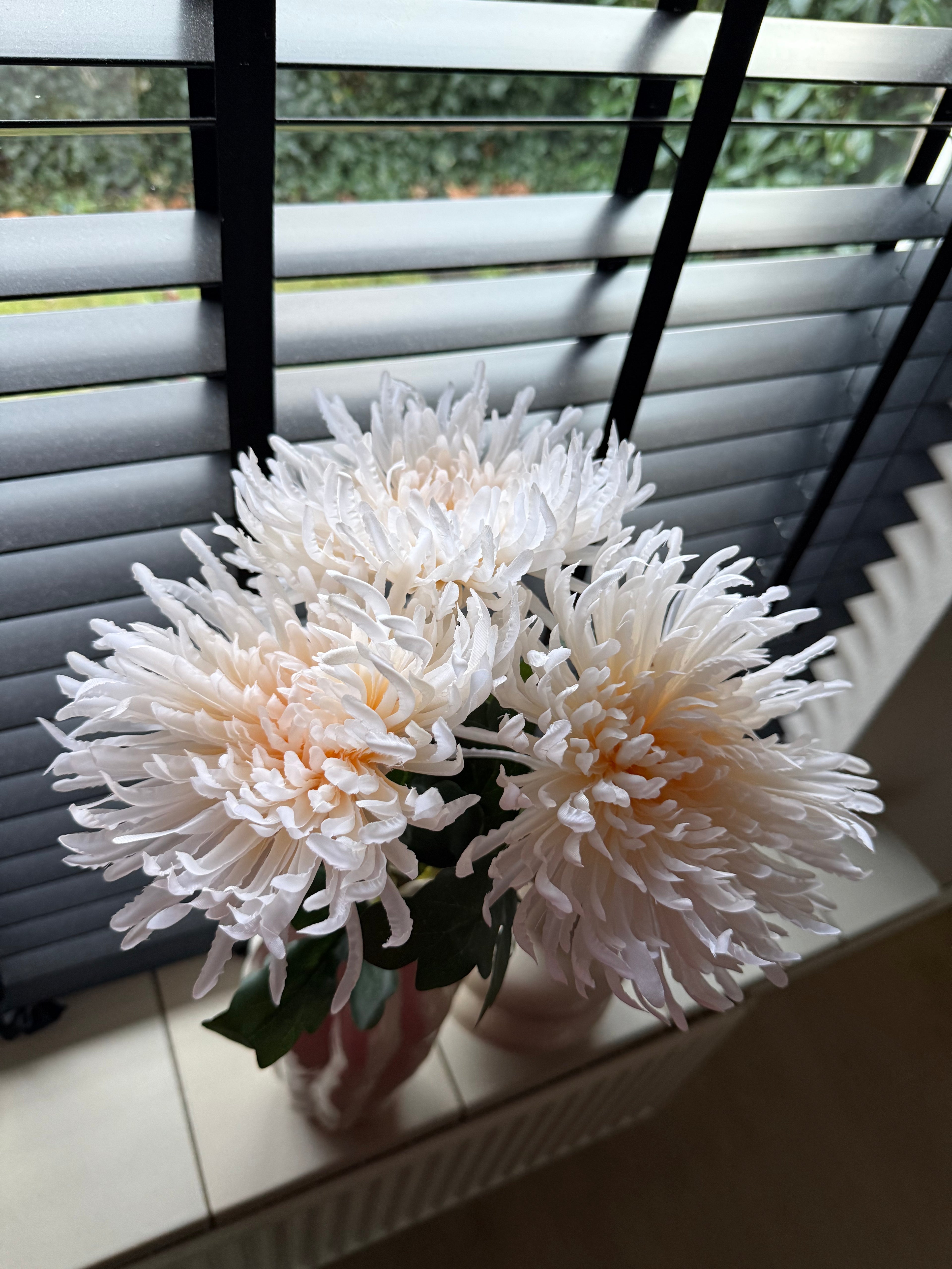 Chrysant