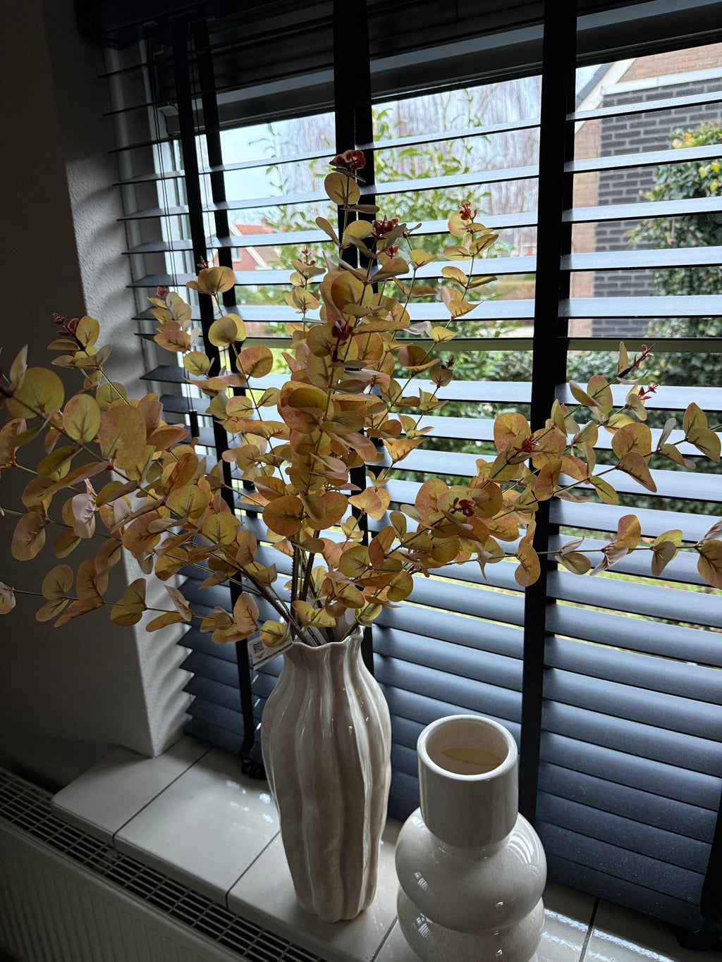 Eucalyptus