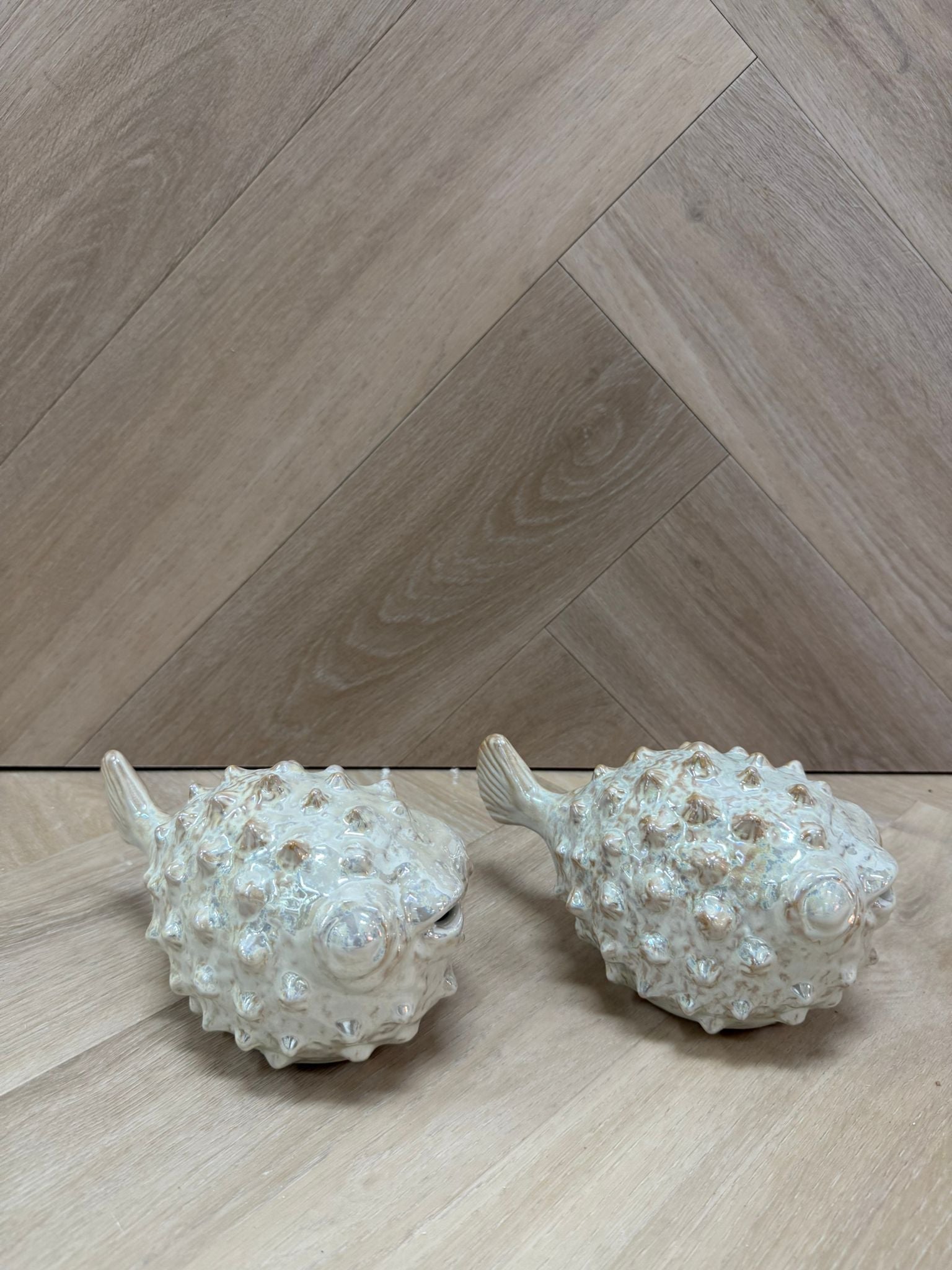 Fish van light & living